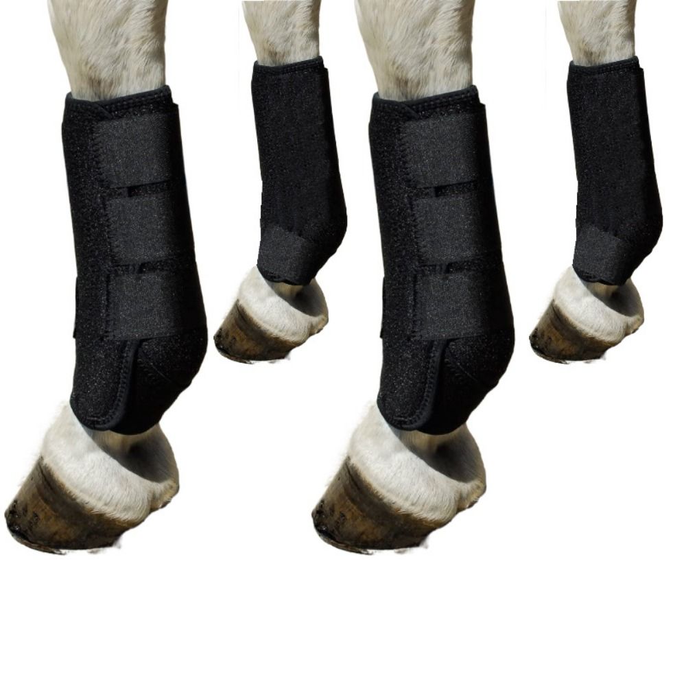 Brushing Boot Horse - 4 szt./zestaw Kolorowe, sportowe ochraniacze na