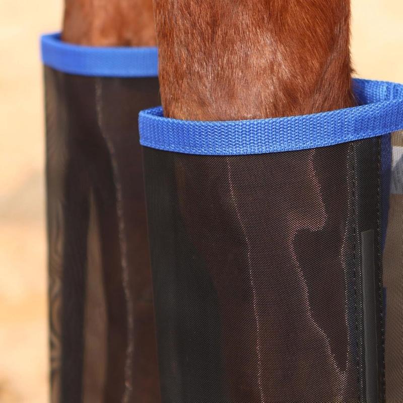 Ochraniacze na nogi konia 31BE – Brushing Boot Horse recenzja i cena